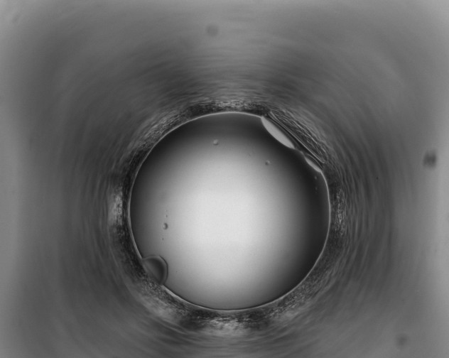 X0000100210502200806061349