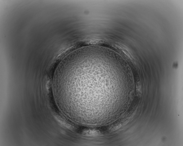 X0000100210503200806061349