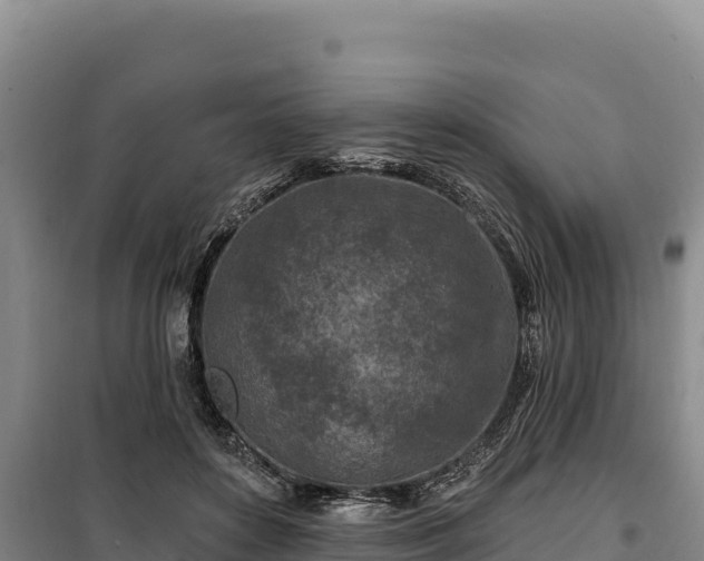 X0000100210504200806061349