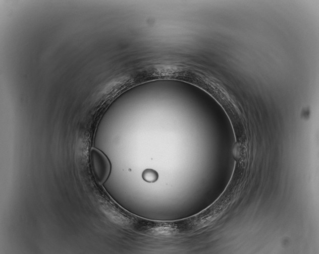 X0000100210505200806061349