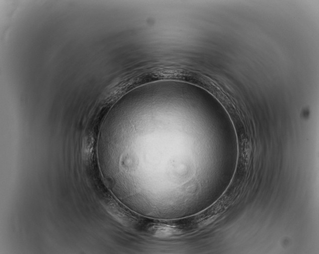 X0000100210507200806061349