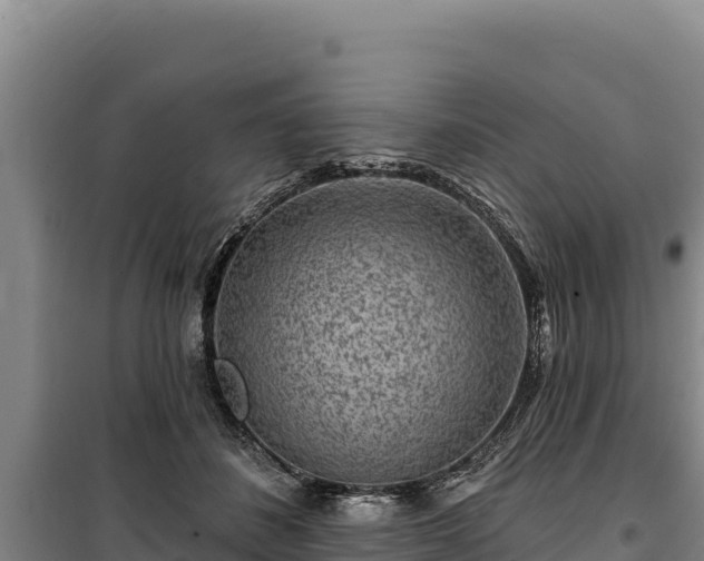 X0000100210508200806061349