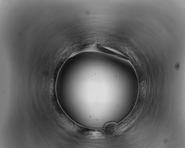 X0000100210509200806061349