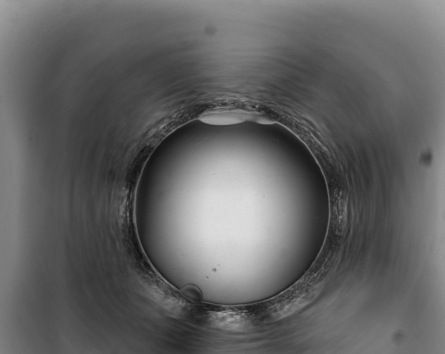 X0000100210511200806061349