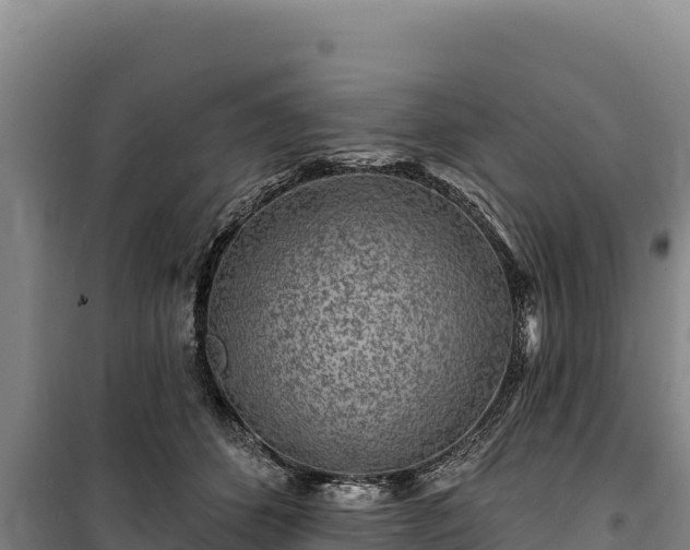 X0000100210512200806061349