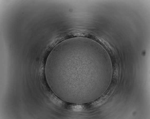 X0000100210513200806061349