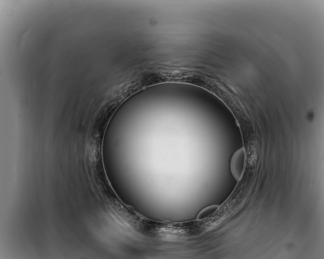 X0000100210515200806061349