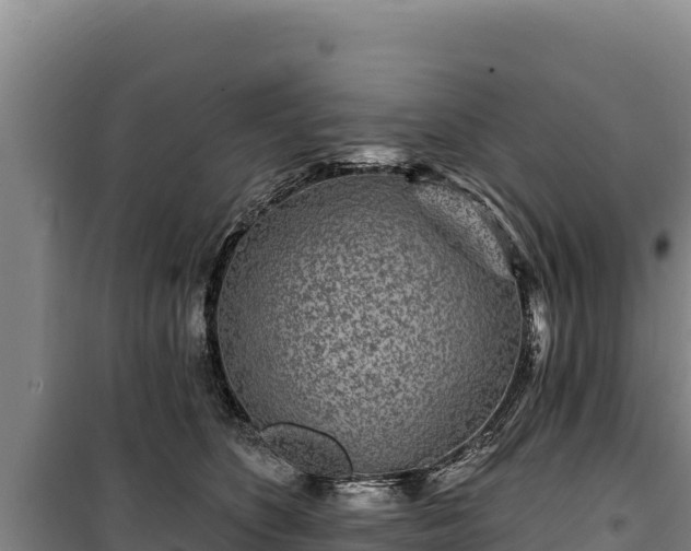 X0000100210516200806061349