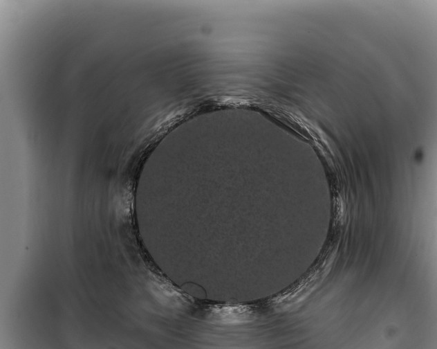 X0000100210517200806061349