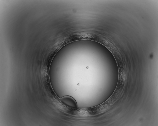 X0000100210518200806061349