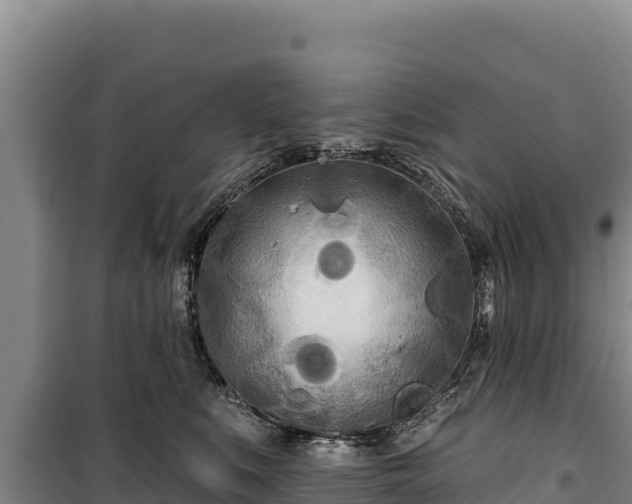 X0000100210519200806061349