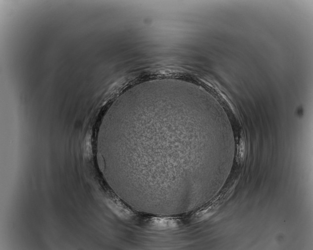 X0000100210520200806061349