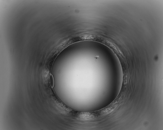 X0000100210521200806061349