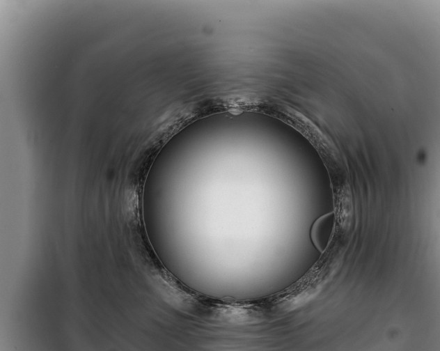 X0000100210523200806061349