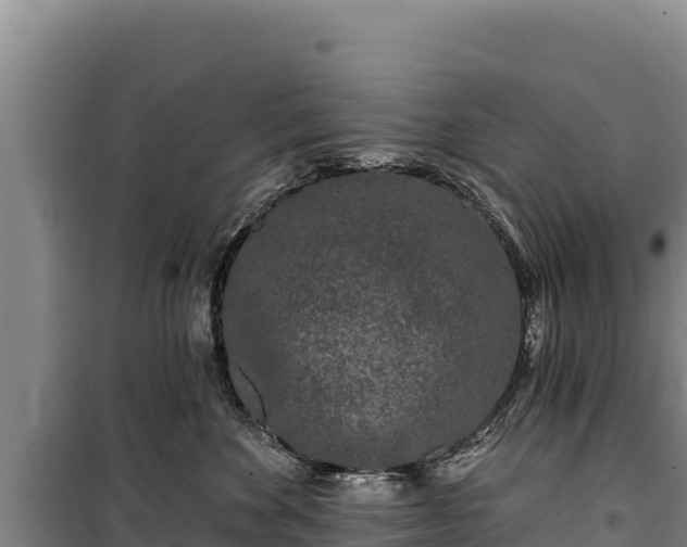 X0000100210524200806061349