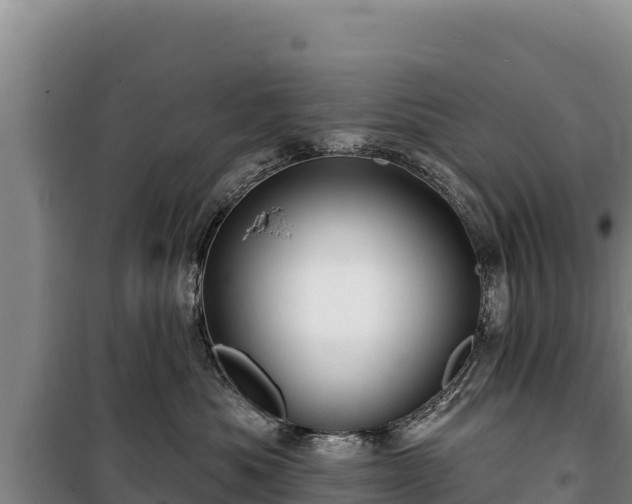 X0000100210525200806061348