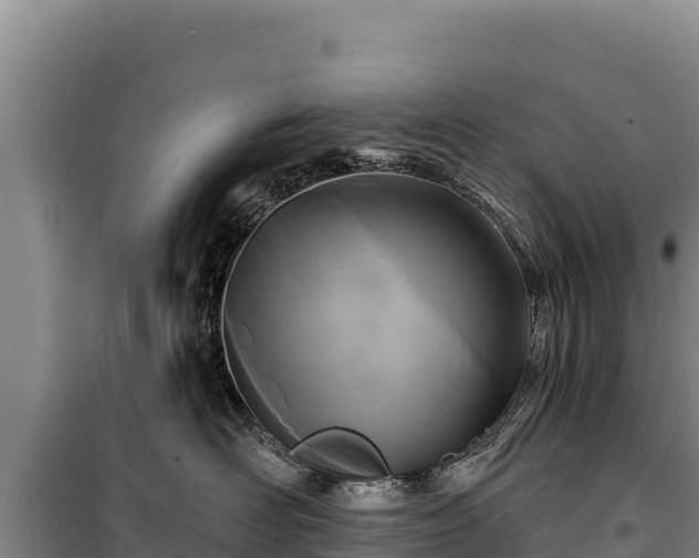 X0000100210526200806061348