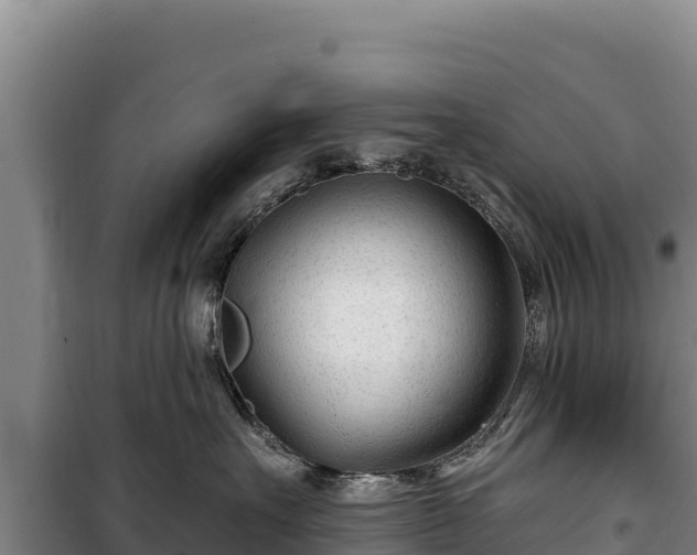 X0000100210527200806061348