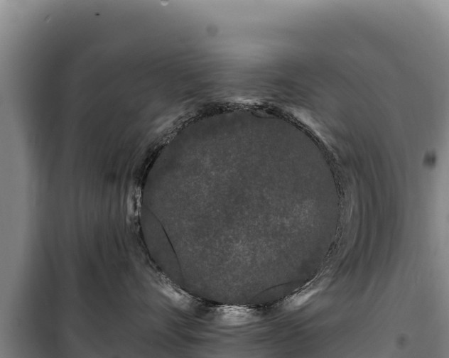 X0000100210528200806061348