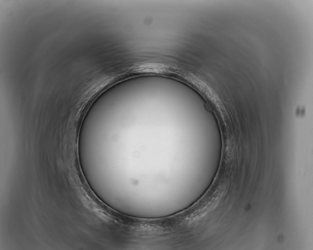 X0000100210529200806061348