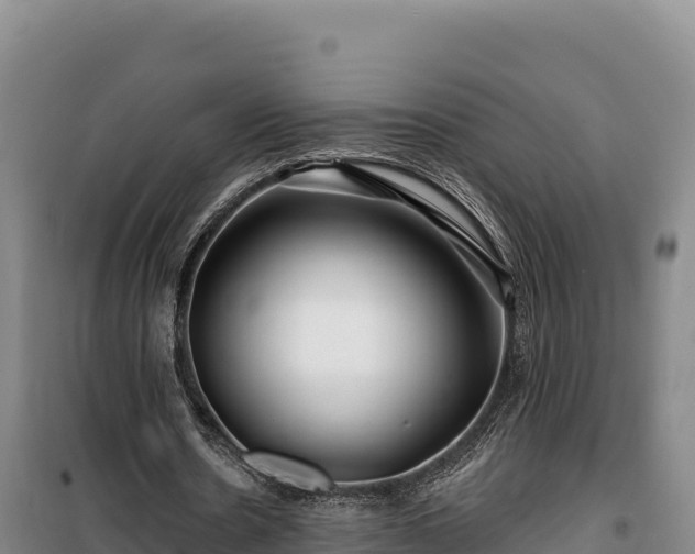 X0000100210530200806061348