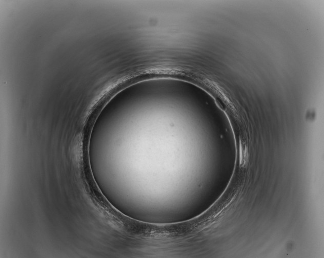 X0000100210531200806061348