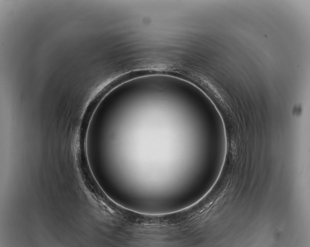 X0000100210532200806061348