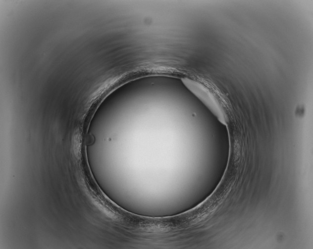 X0000100210533200806061348