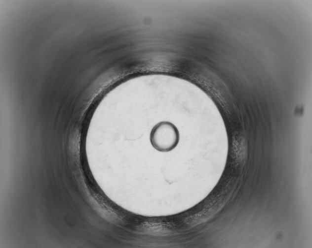 X0000100210534200806061348