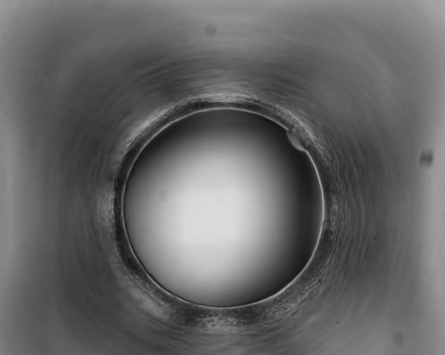 X0000100210535200806061348