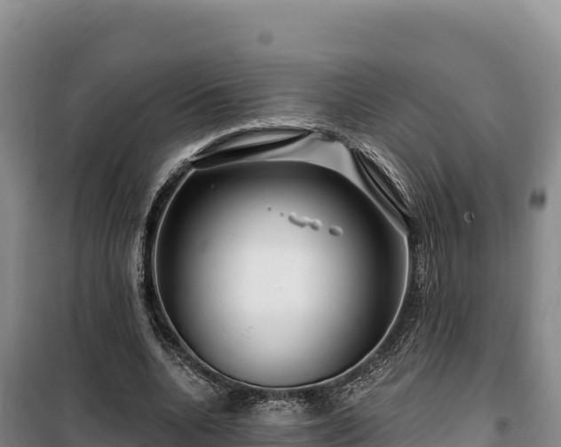 X0000100210536200806061348