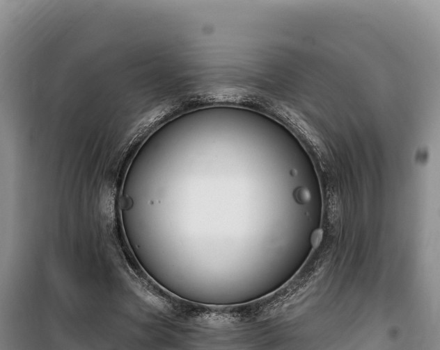 X0000100210537200806061348