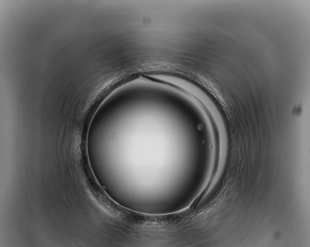 X0000100210538200806061348