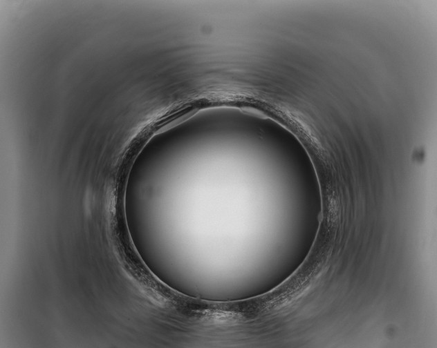 X0000100210539200806061348