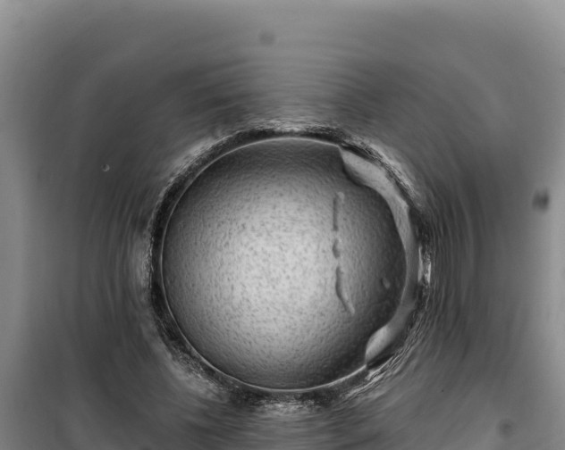 X0000100210540200806061348