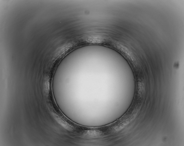 X0000100210541200806061348