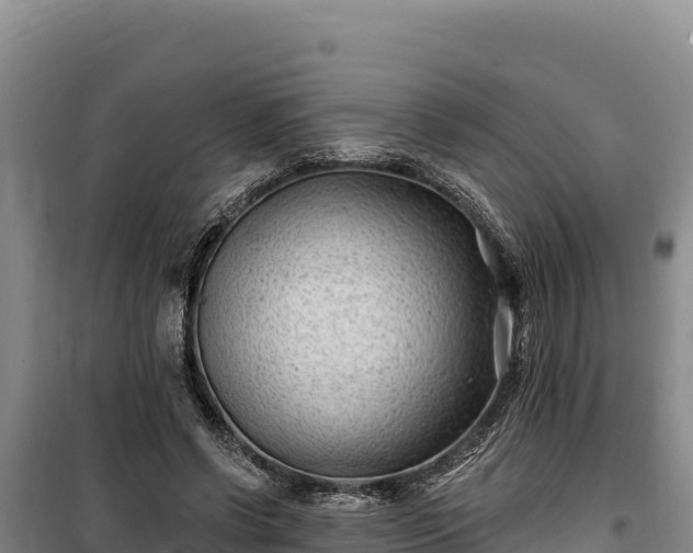 X0000100210542200806061348