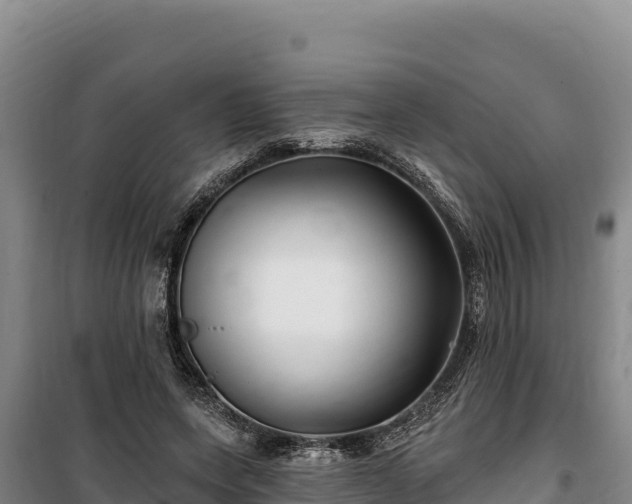 X0000100210543200806061348