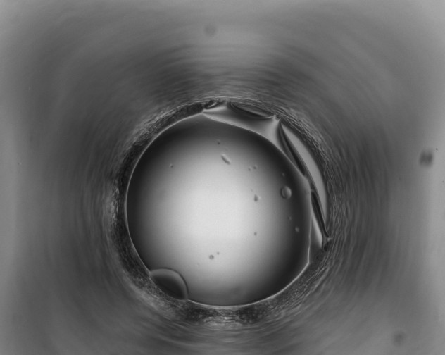 X0000100210544200806061348