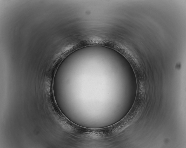 X0000100210545200806061348