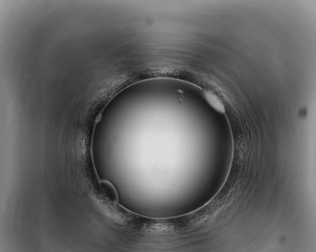 X0000100210546200806061348