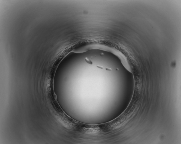 X0000100210548200806061348