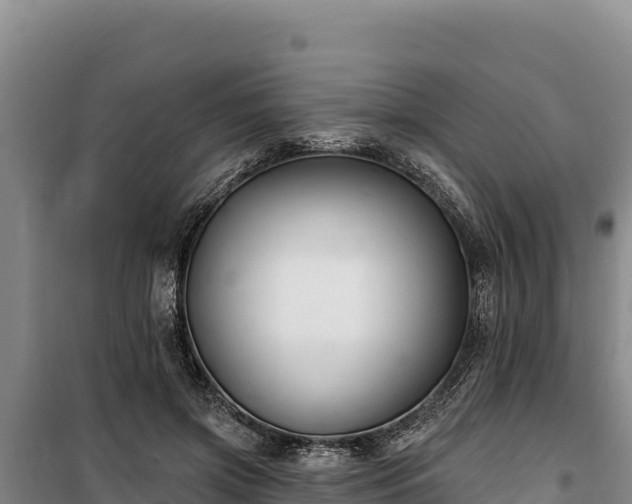 X0000100210549200806061348