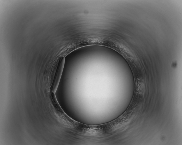 X0000100210550200806061348