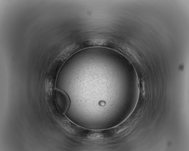 X0000100210551200806061348