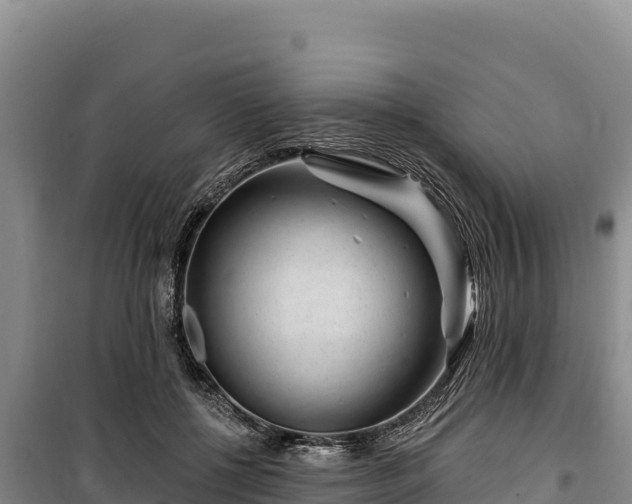 X0000100210552200806061348