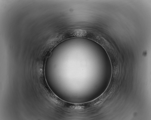 X0000100210553200806061348