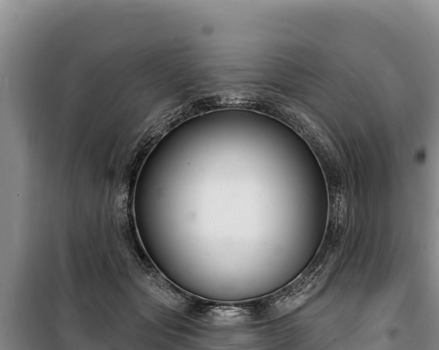 X0000100210557200806061348