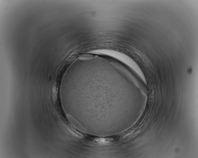 X0000100210558200806061348