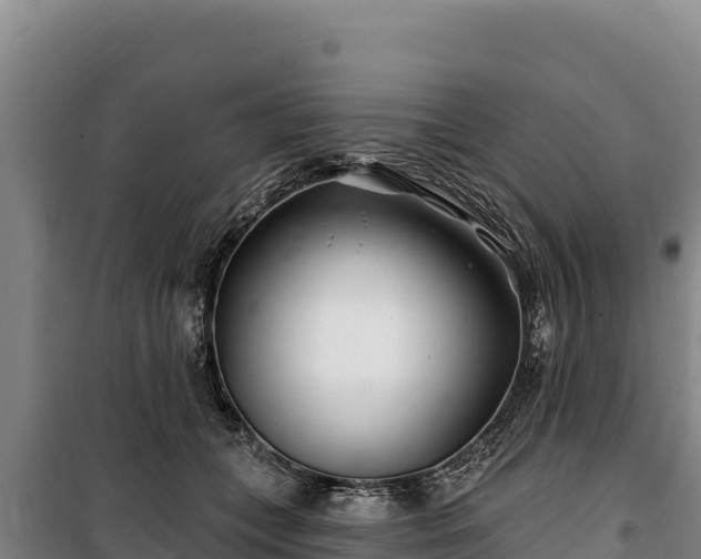 X0000100210559200806061348